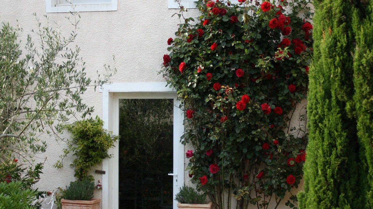 Photo of Outdoor in Paimboeuf