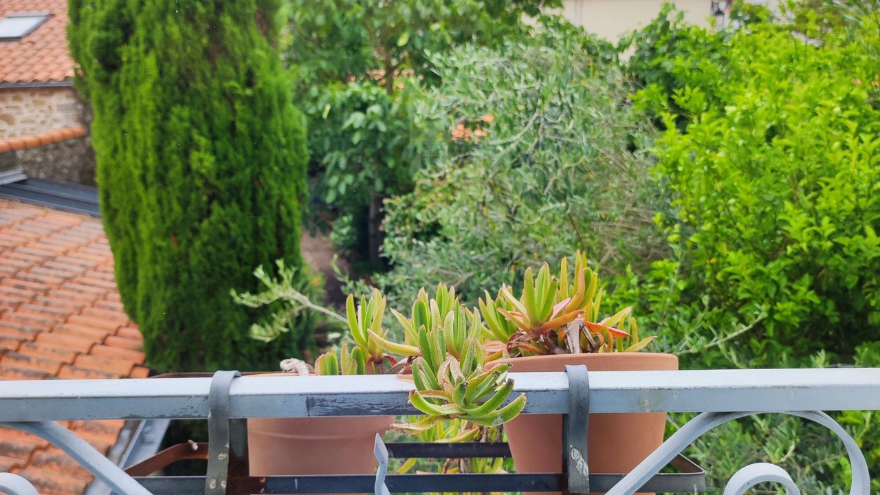 Photo of Outdoor in Paimboeuf