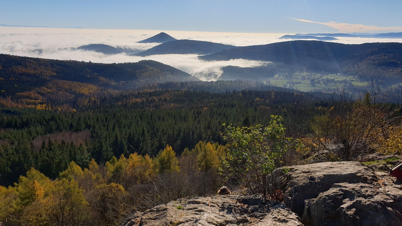 Photo of Others in Le Hohwald