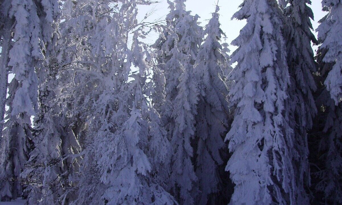 Photo of Others in Le Hohwald
