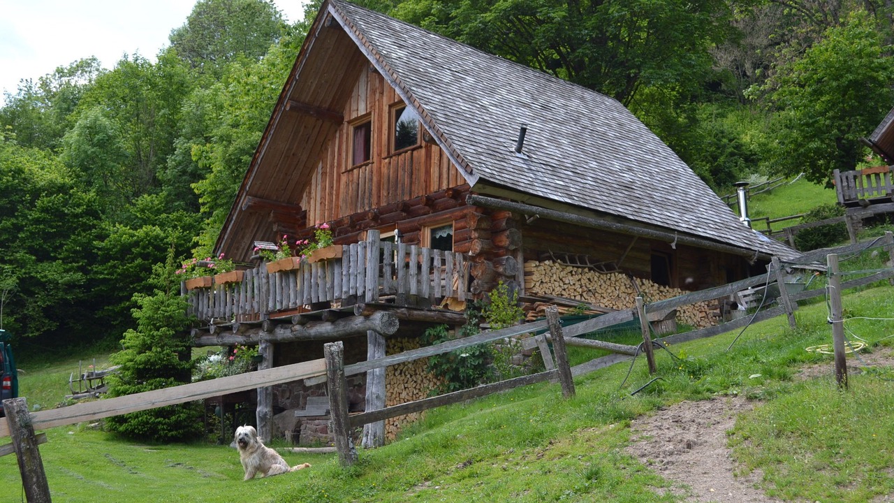 Photo of Outdoor in Le Hohwald