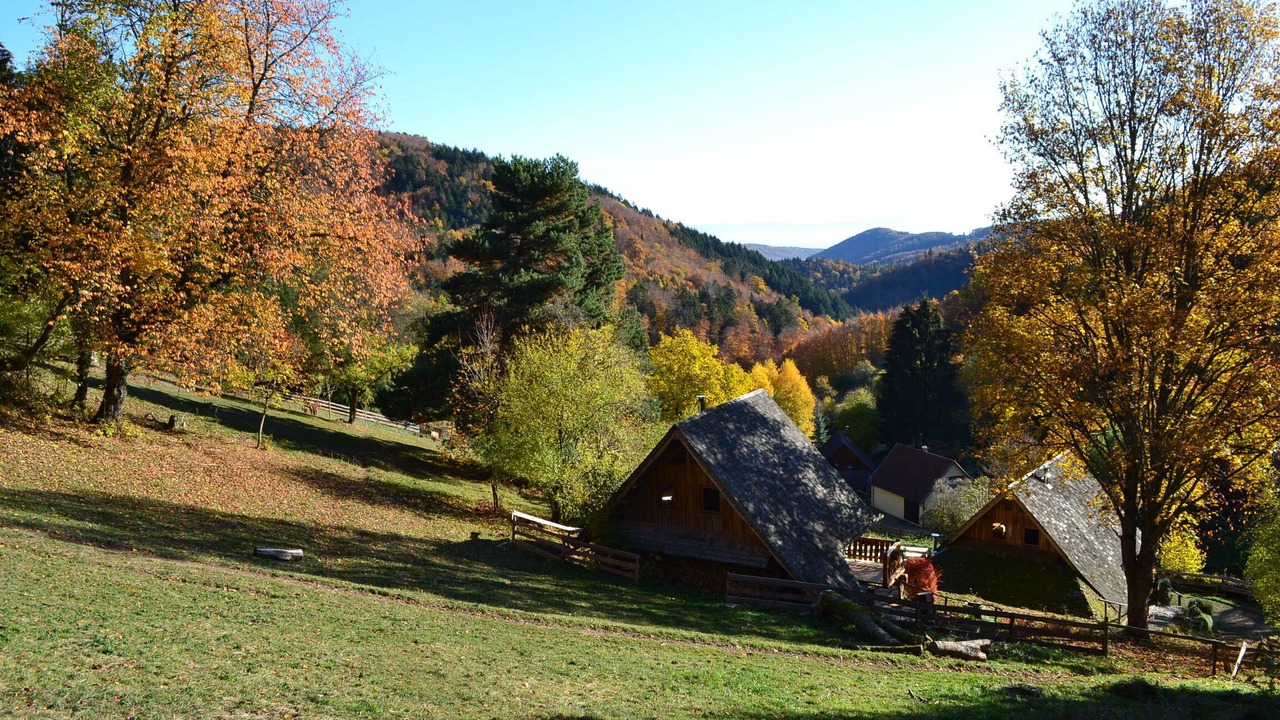Photo of Outdoor in Le Hohwald
