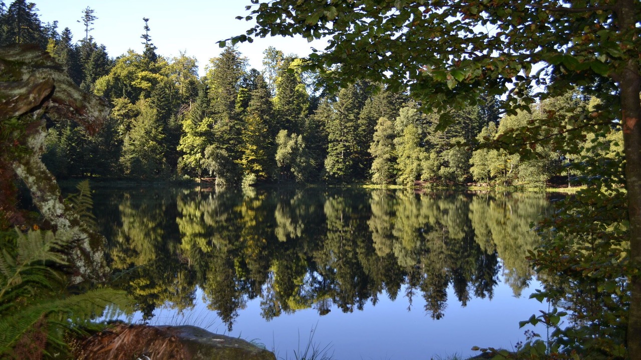 Photo of Outdoor in Le Hohwald