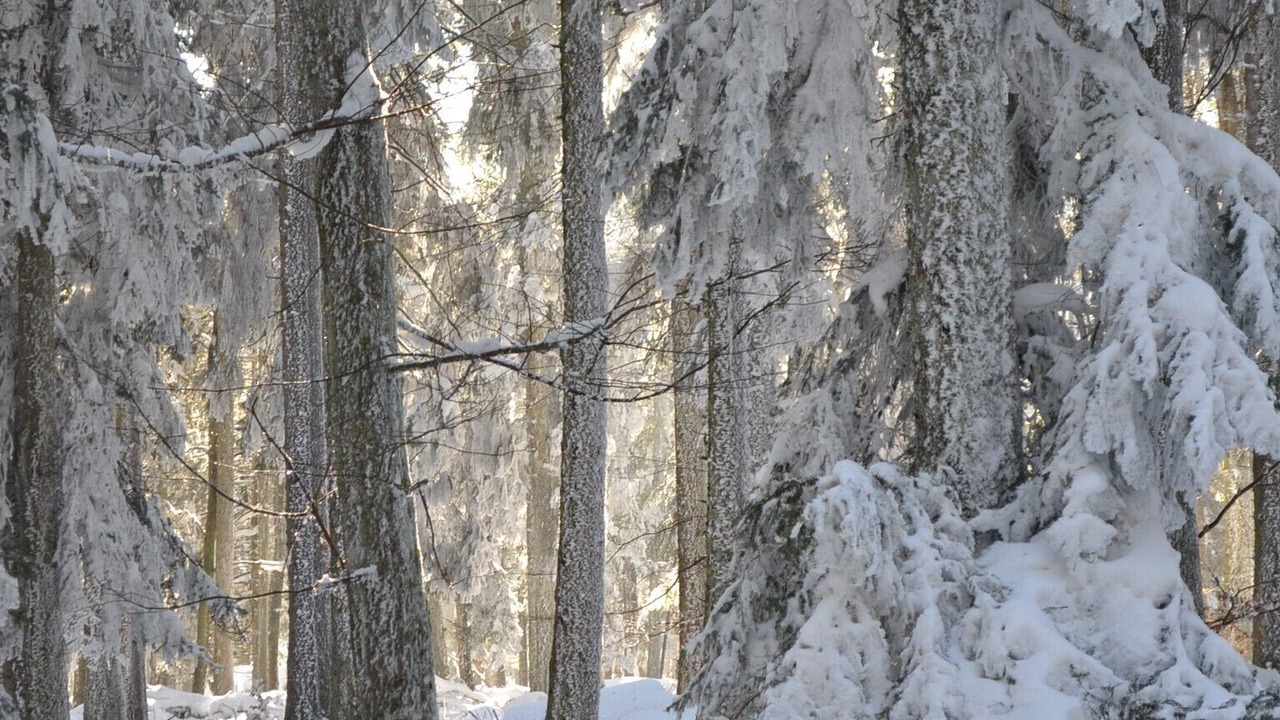 Photo of Outdoor in Le Hohwald