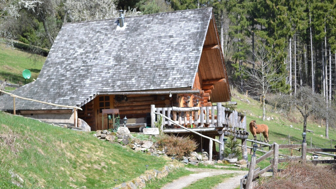 Photo of Outdoor in Le Hohwald