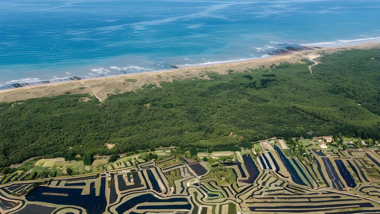 Photo of Outdoor in La Chaume