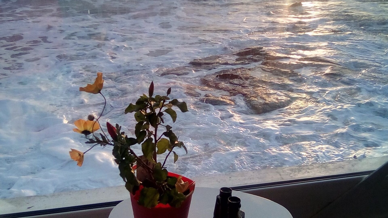 Photo of Others in La Chaume