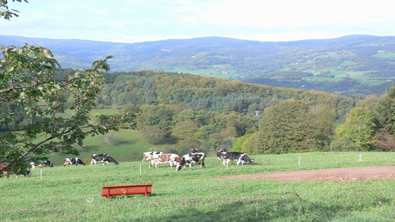 Photo of Outdoor in Labaroche
