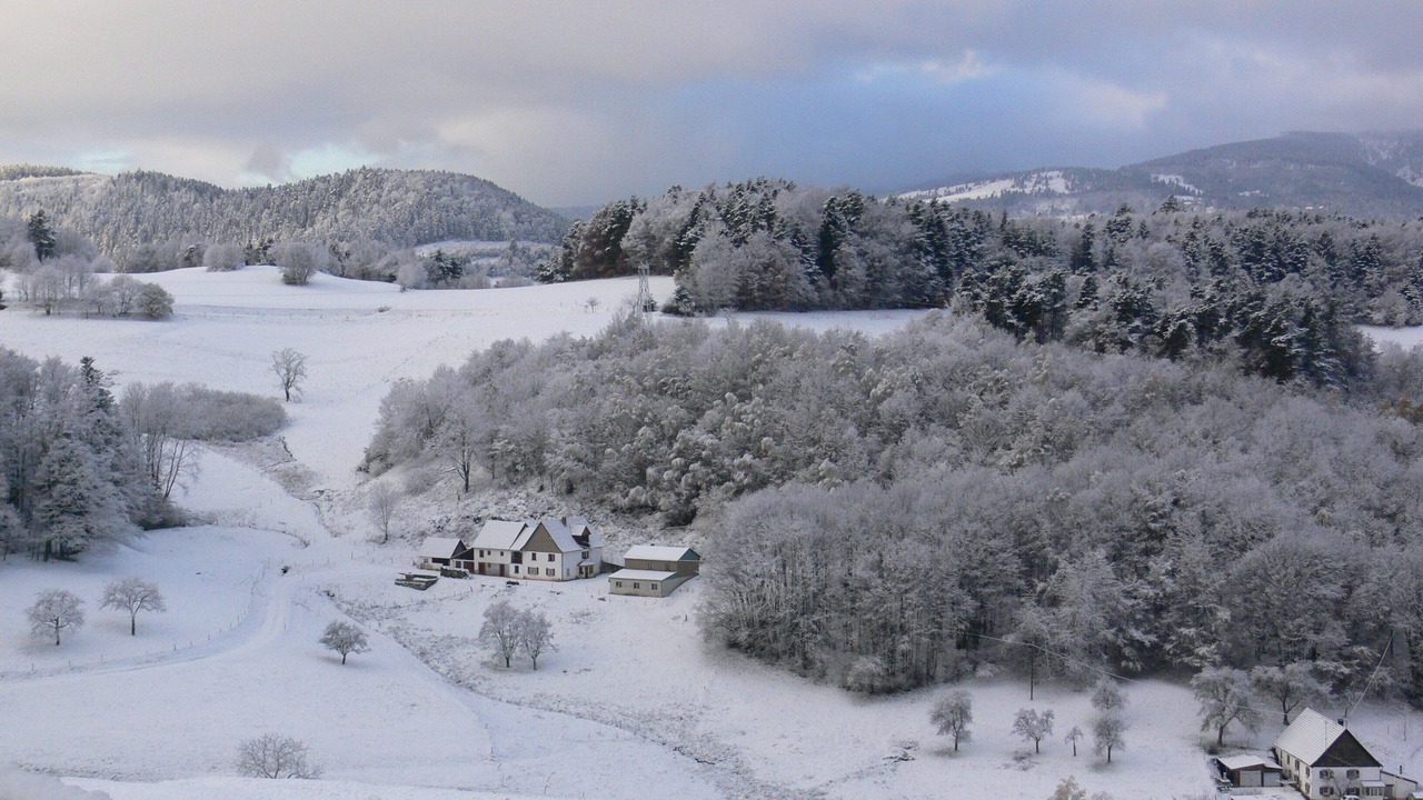 Photo of Outdoor in Labaroche