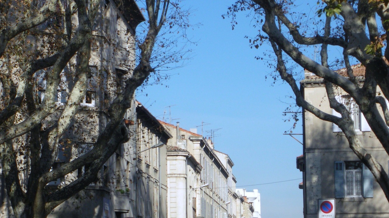Photo of Others in Avignon City Centre