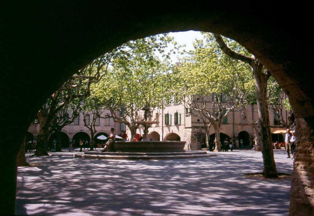 Photo of Others in Chandolas
