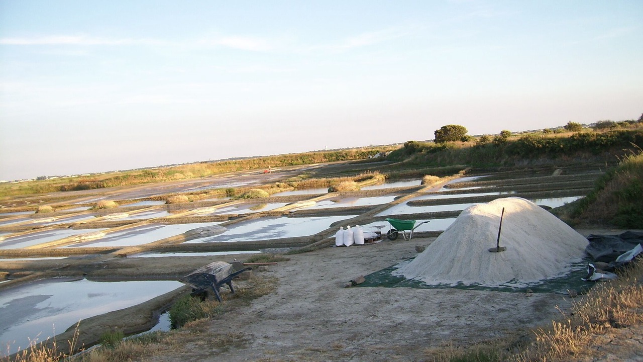 Photo of Others in Guerande