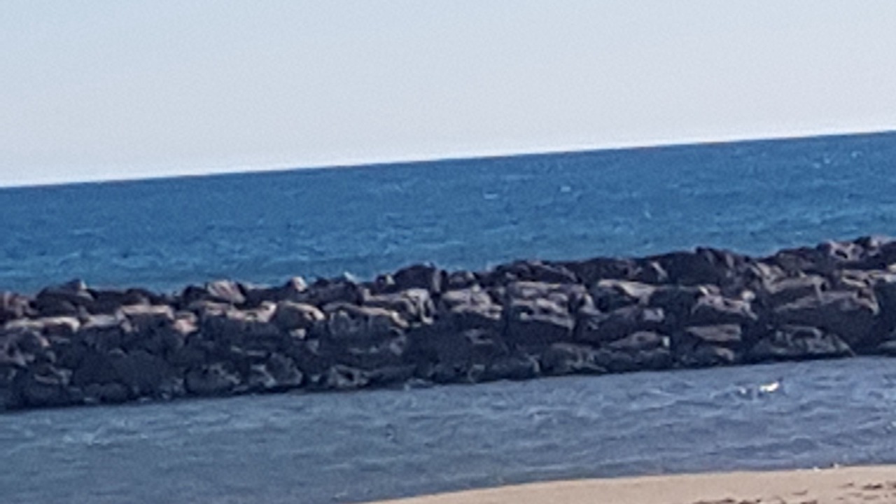 Photo of Others in Le Barcares