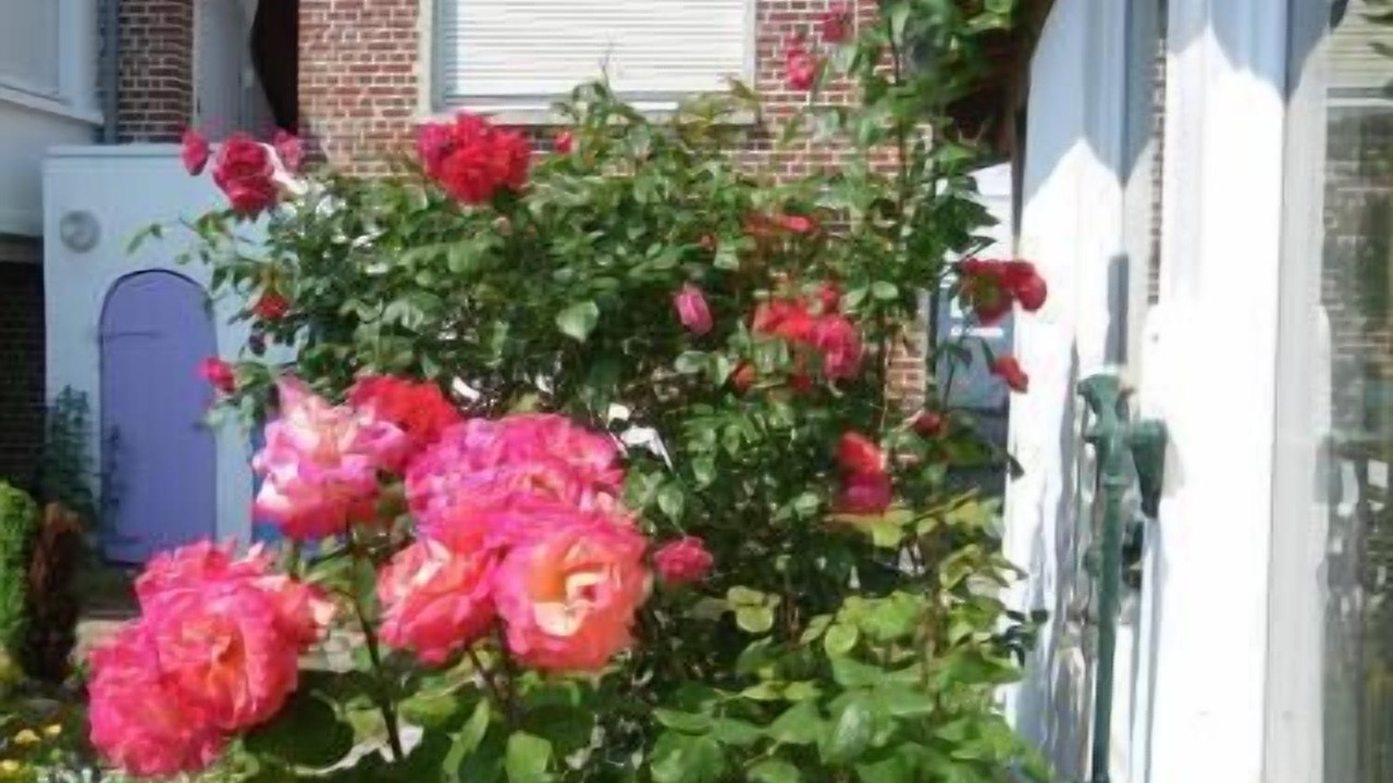 Photo of Outdoor in Cayeux-sur-Mer