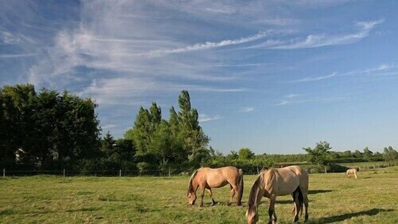 Photo of Outdoor in Cayeux-sur-Mer