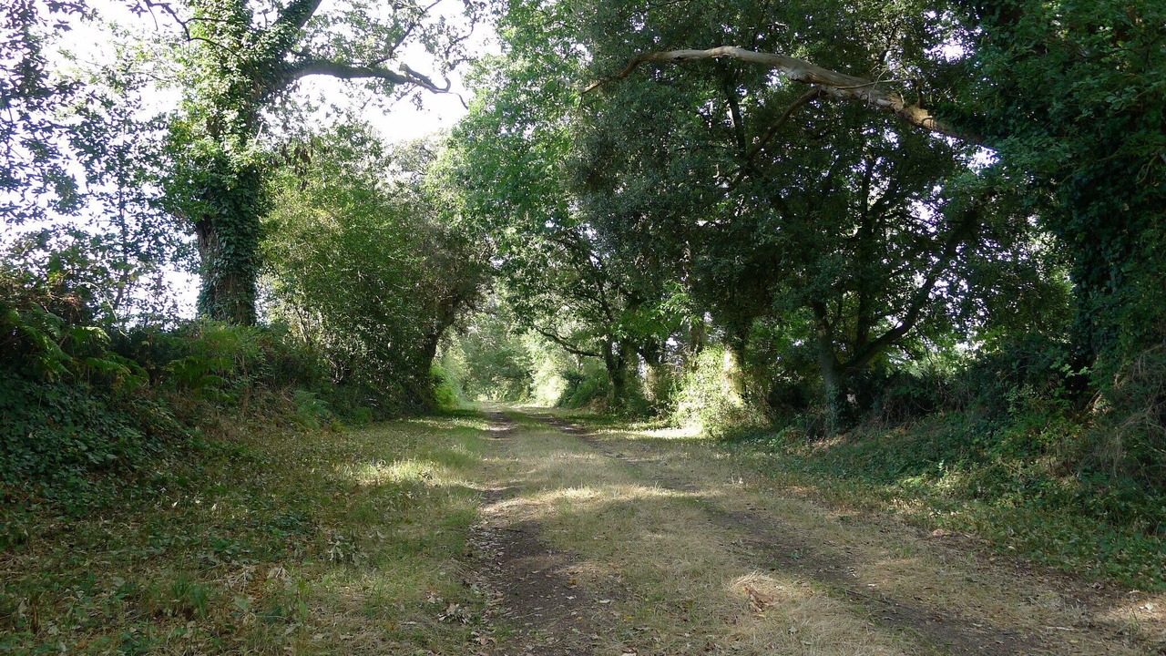 Photo of Outdoor in Le Tablier