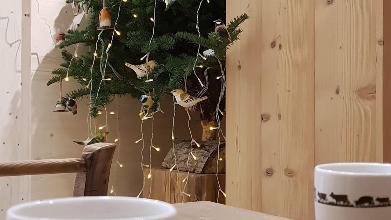 Photo of Others in Montriond