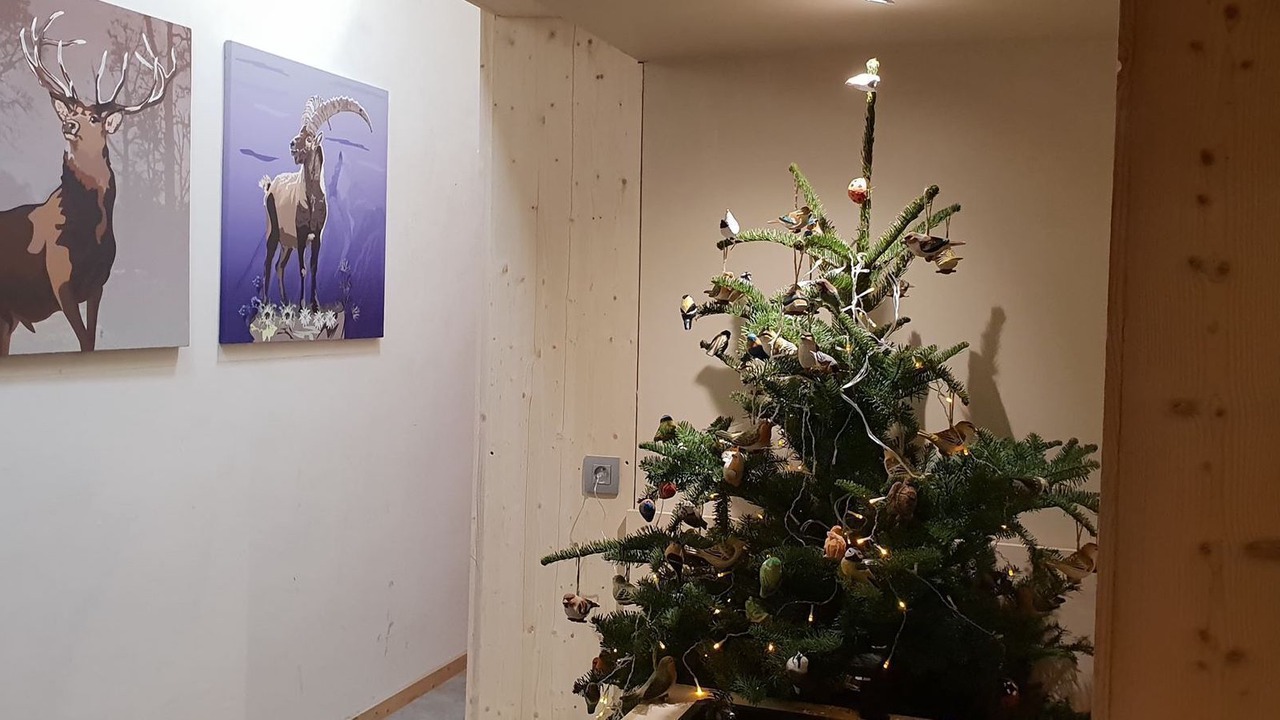 Photo of Others in Montriond