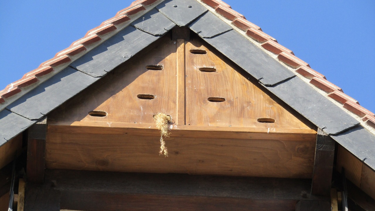 Photo of Outdoor in Amboise