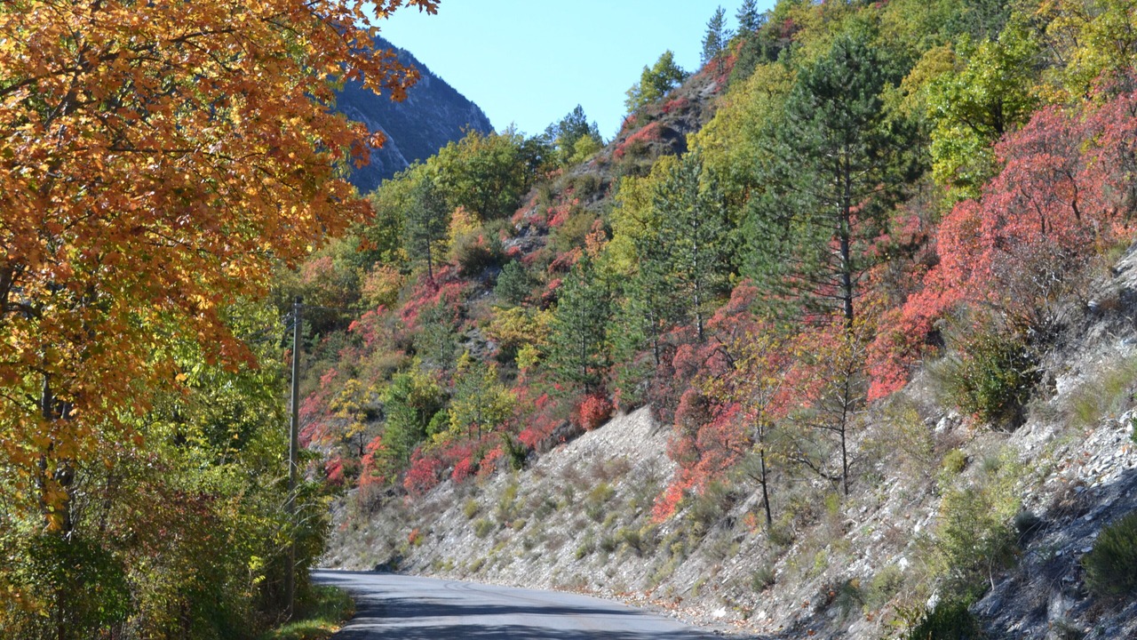 Photo of Outdoor in Allos