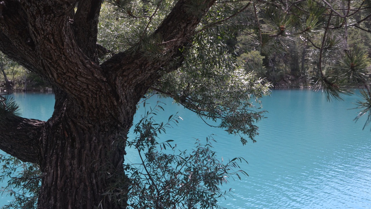Photo of Outdoor in Allos