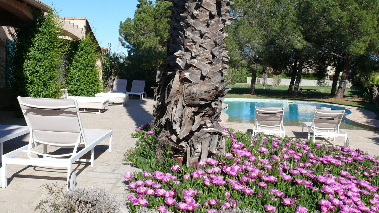 Photo of Outdoor in Marseillan Plage