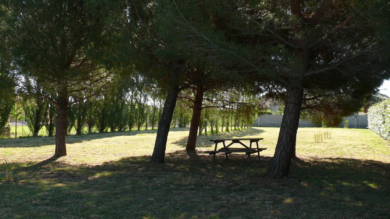 Photo of Outdoor in Marseillan Plage