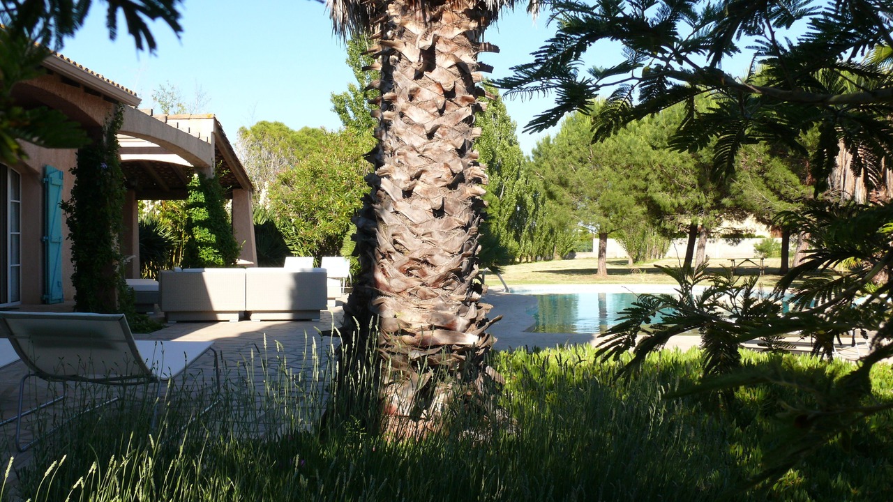 Photo of Outdoor in Marseillan Plage