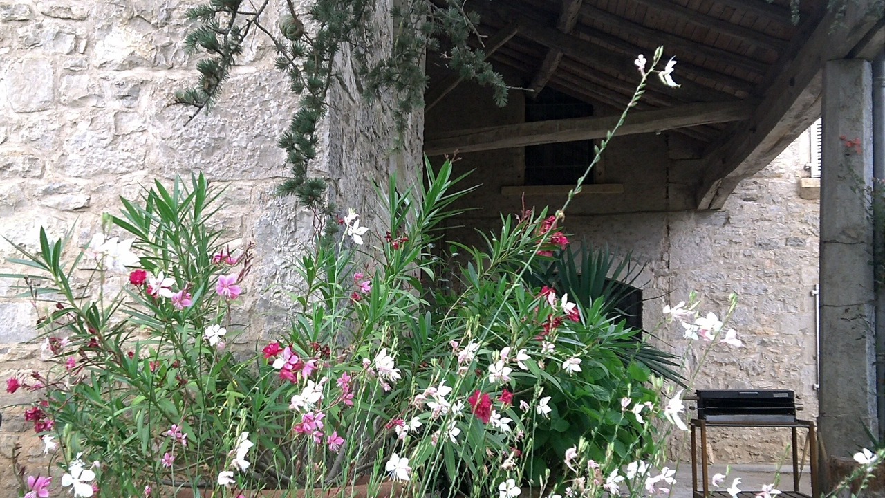 Photo of Outdoor in Cazals