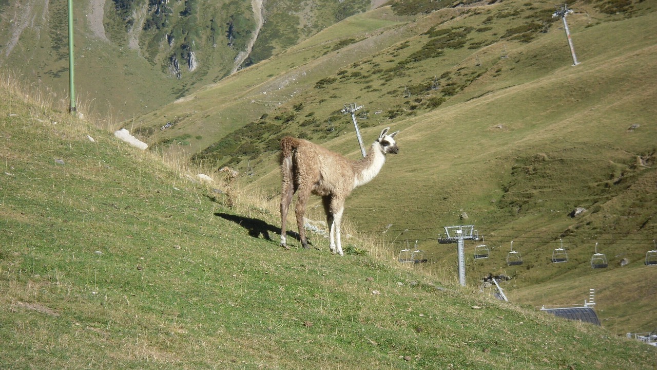 Photo of Outdoor in La Mongie