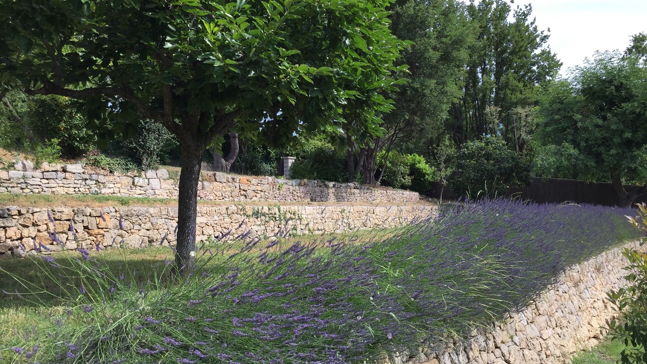 Photo of Outdoor in Valbonne