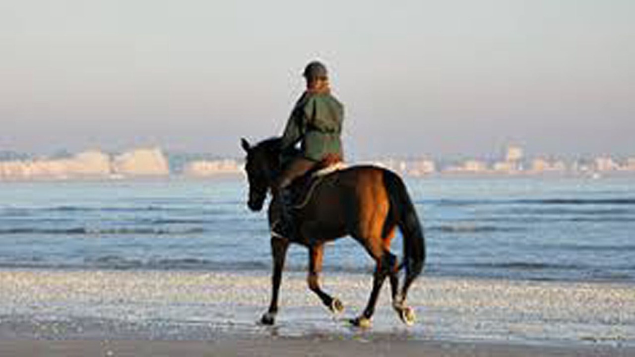 Photo of Others in La Baule-Escoublac
