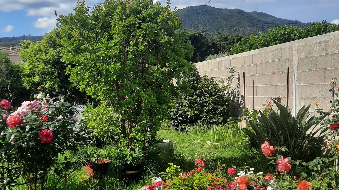 Photo of Outdoor in Casamozza