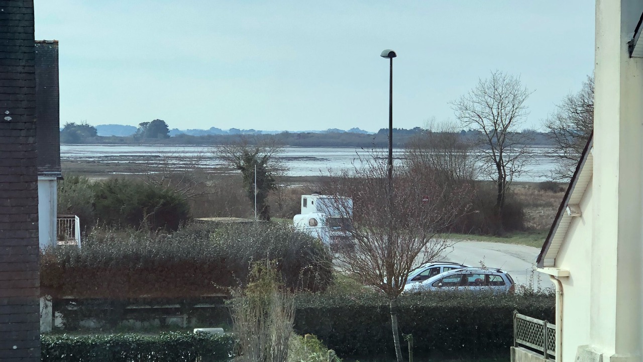 Photo of Others in Sene