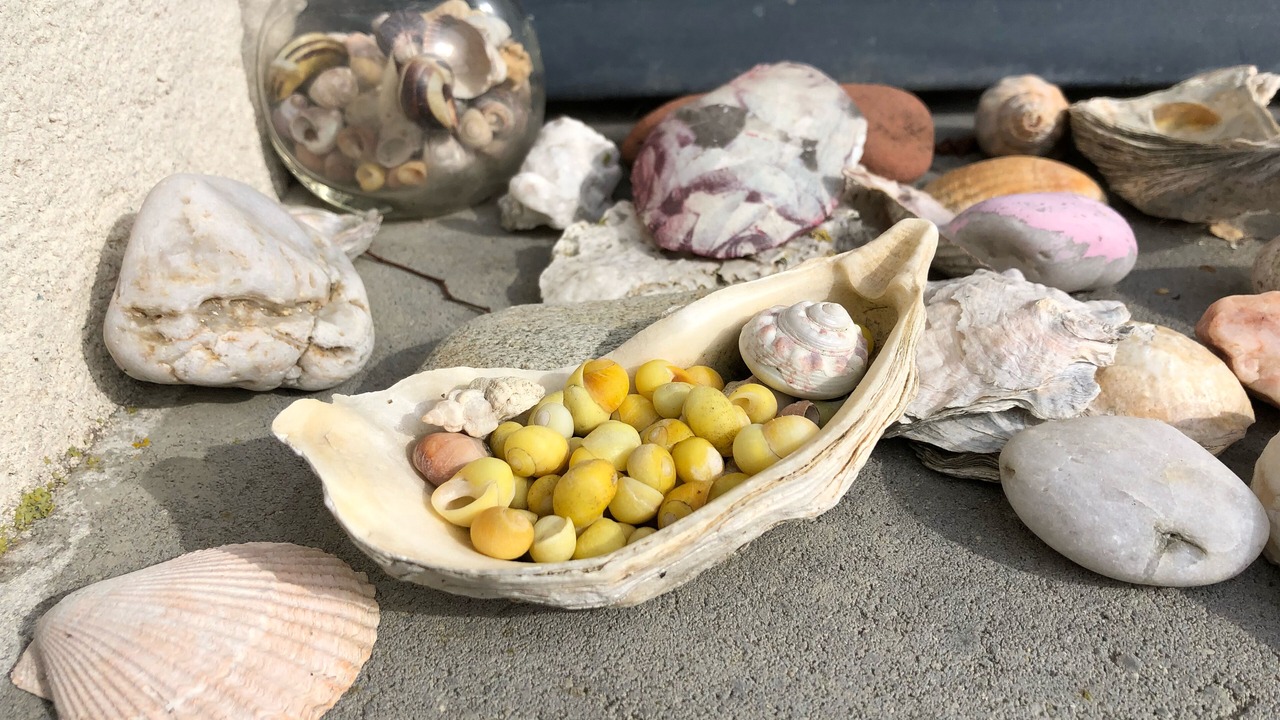 Photo of Others in Sene