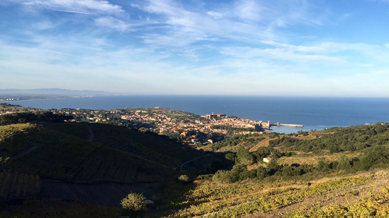 Photo of Others in Collioure