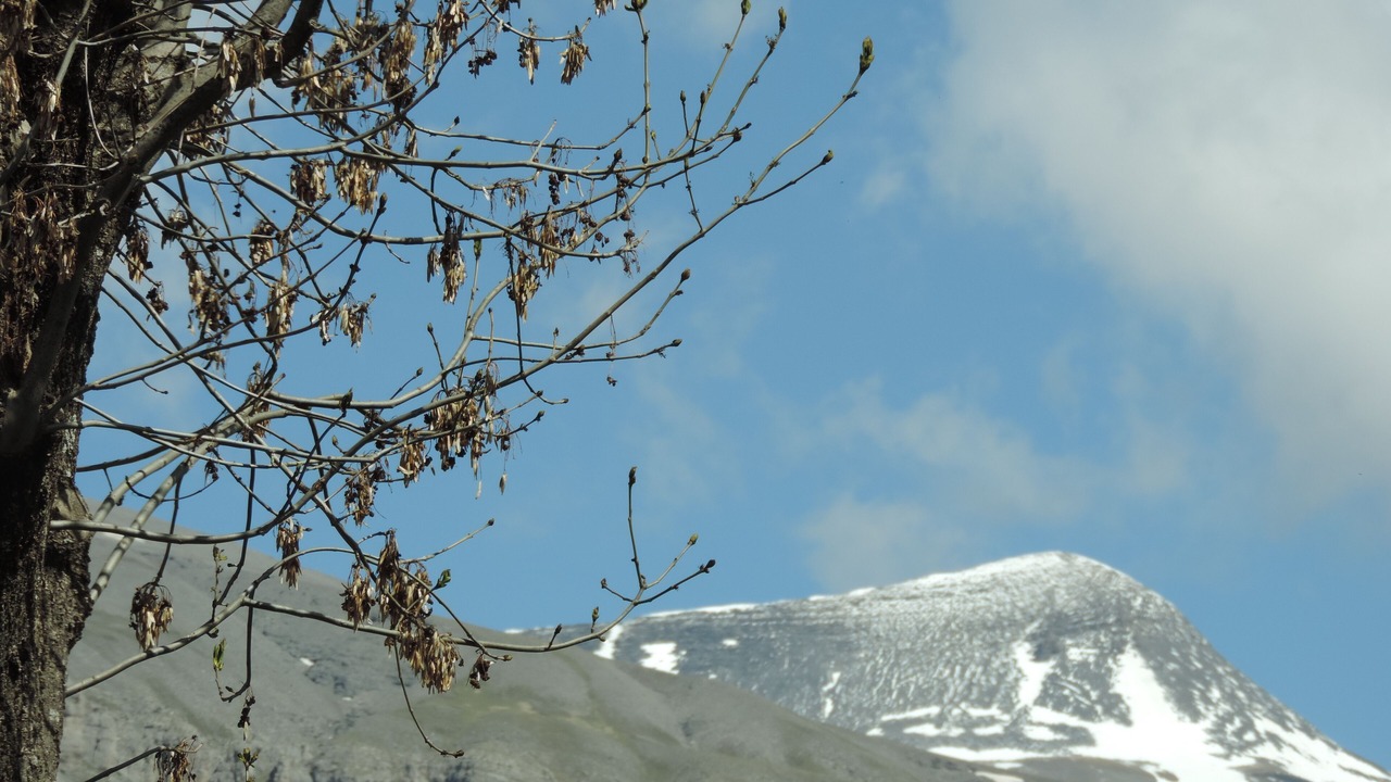 Photo of Outdoor in Beuil-les-Launes