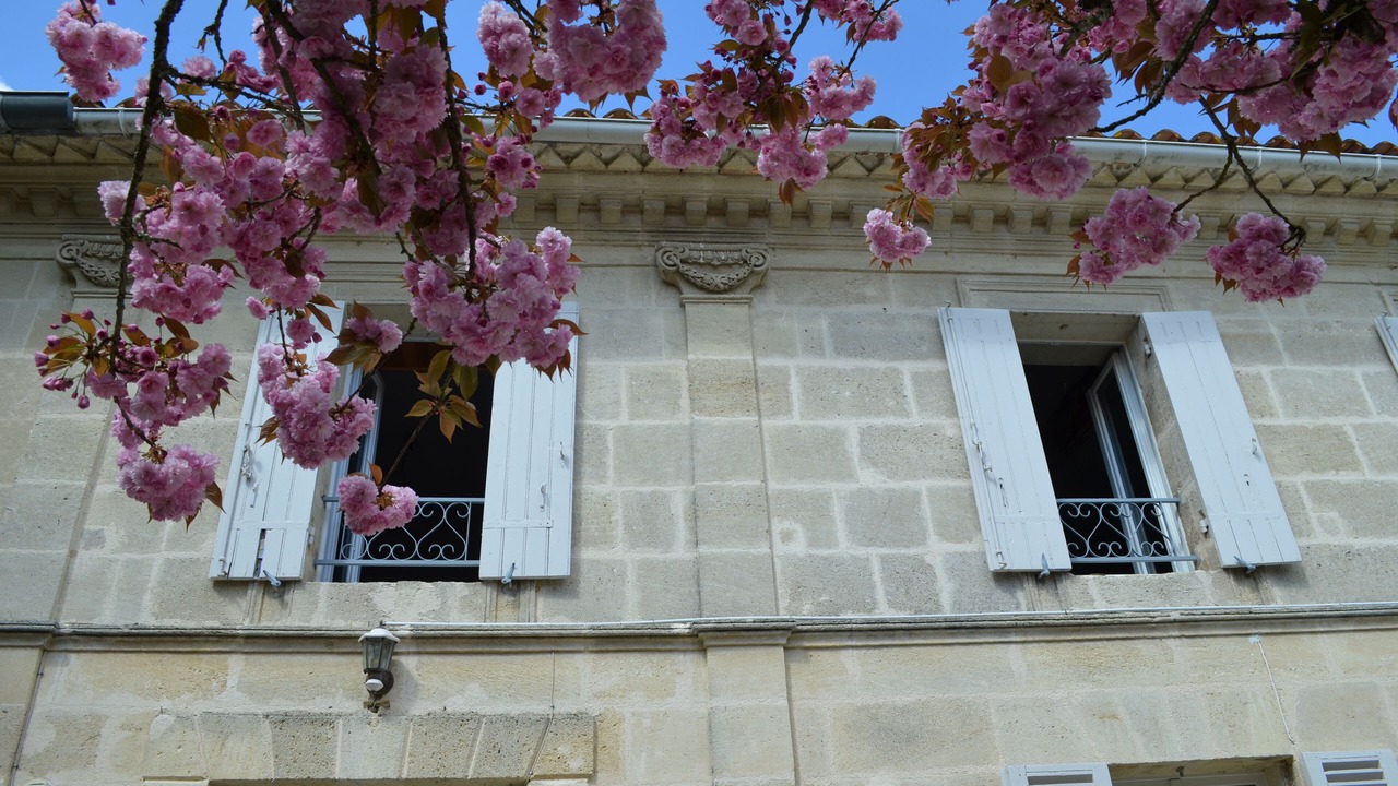 Photo of Outdoor in Marsas