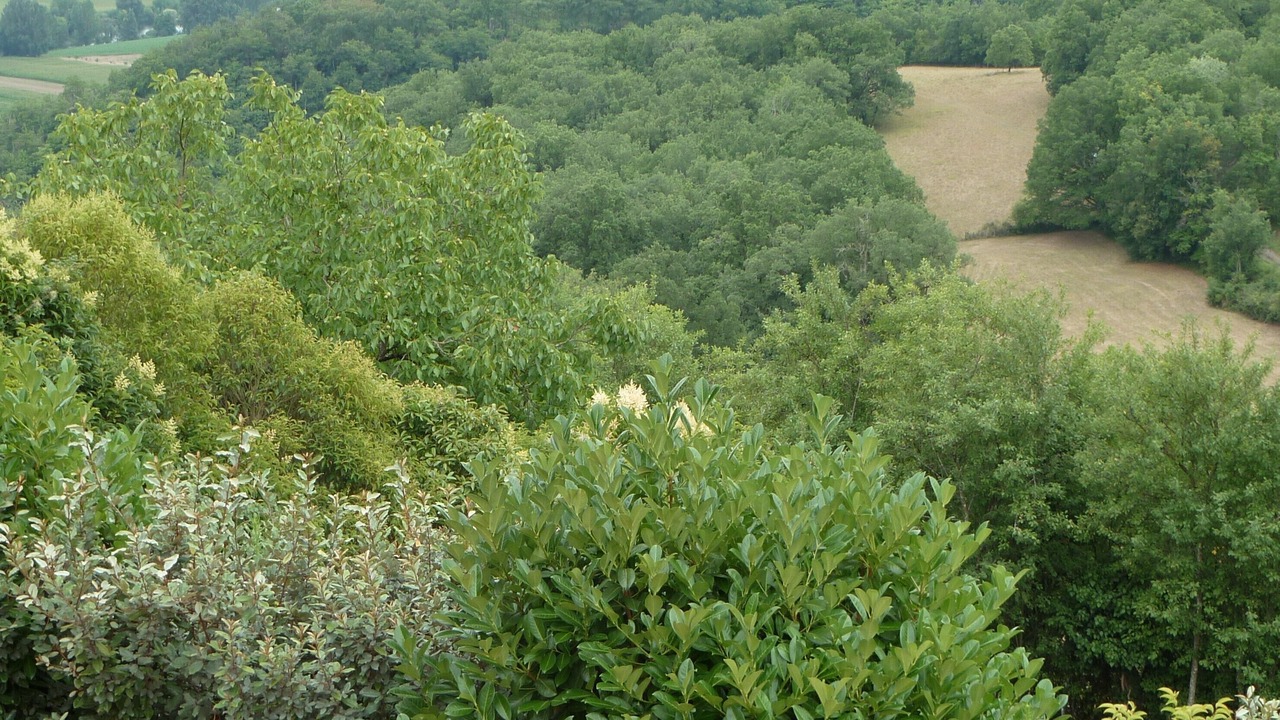 Photo of Outdoor in Faycelles