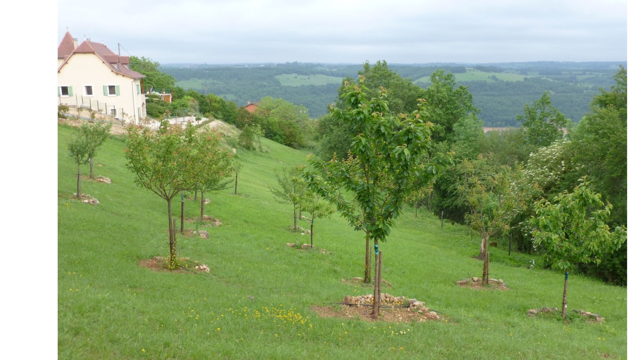 Photo of Outdoor in Faycelles
