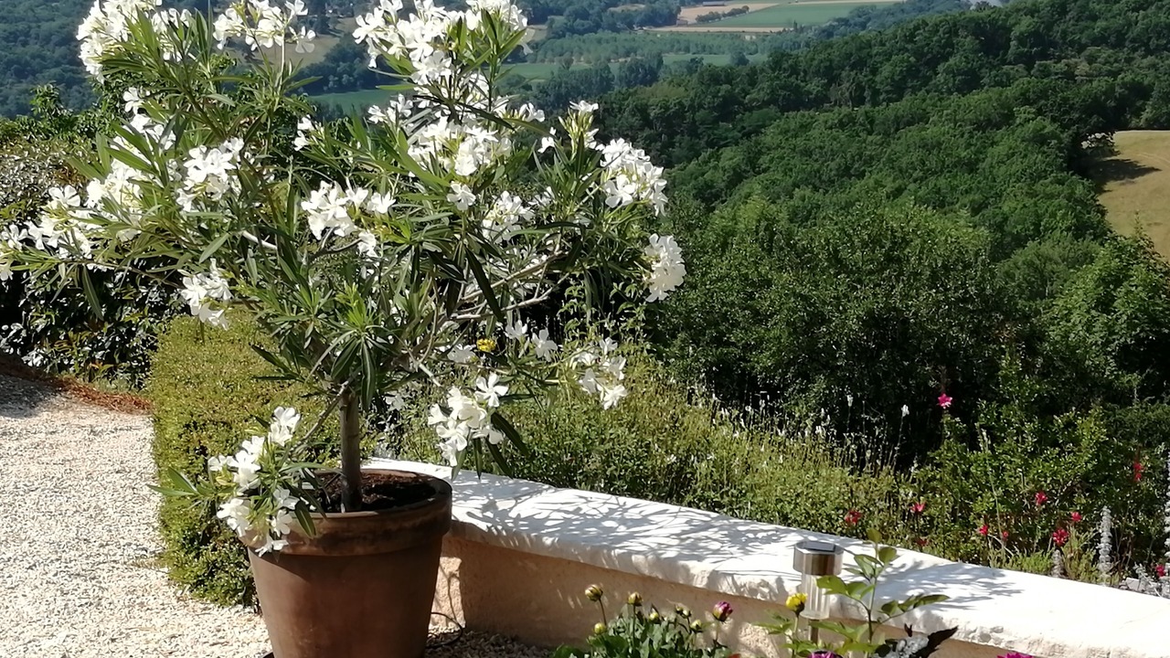 Photo of Outdoor in Faycelles