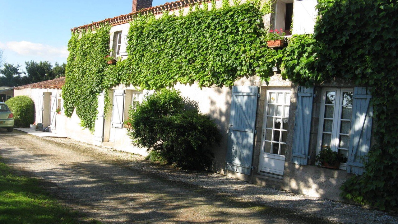 Photo of Outdoor in Mache