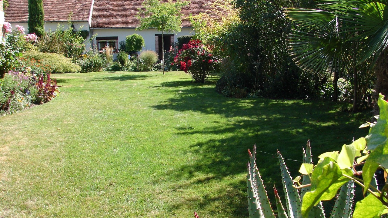 Photo of Outdoor in Cour-Cheverny