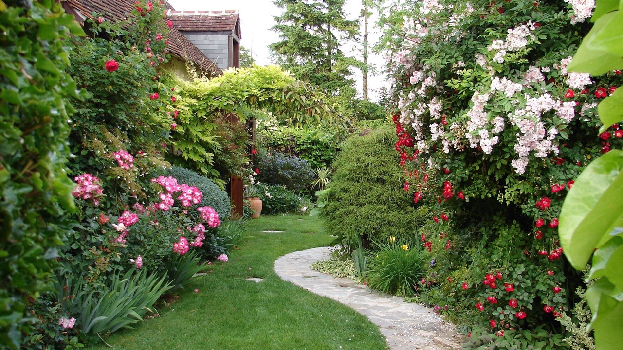 Photo of Outdoor in Cour-Cheverny