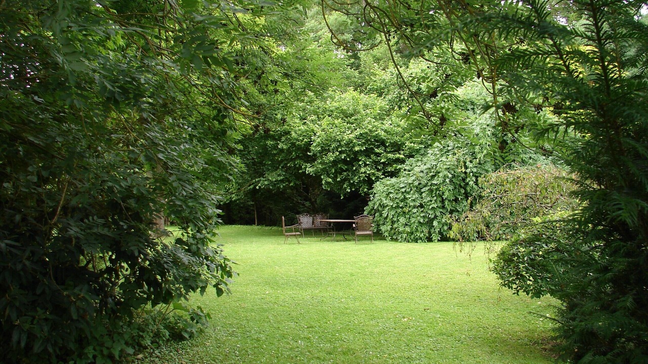 Photo of Outdoor in Cour-Cheverny