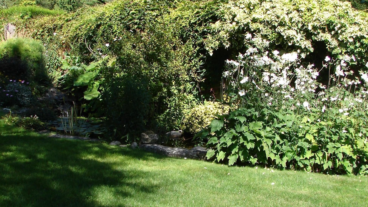 Photo of Outdoor in Cour-Cheverny