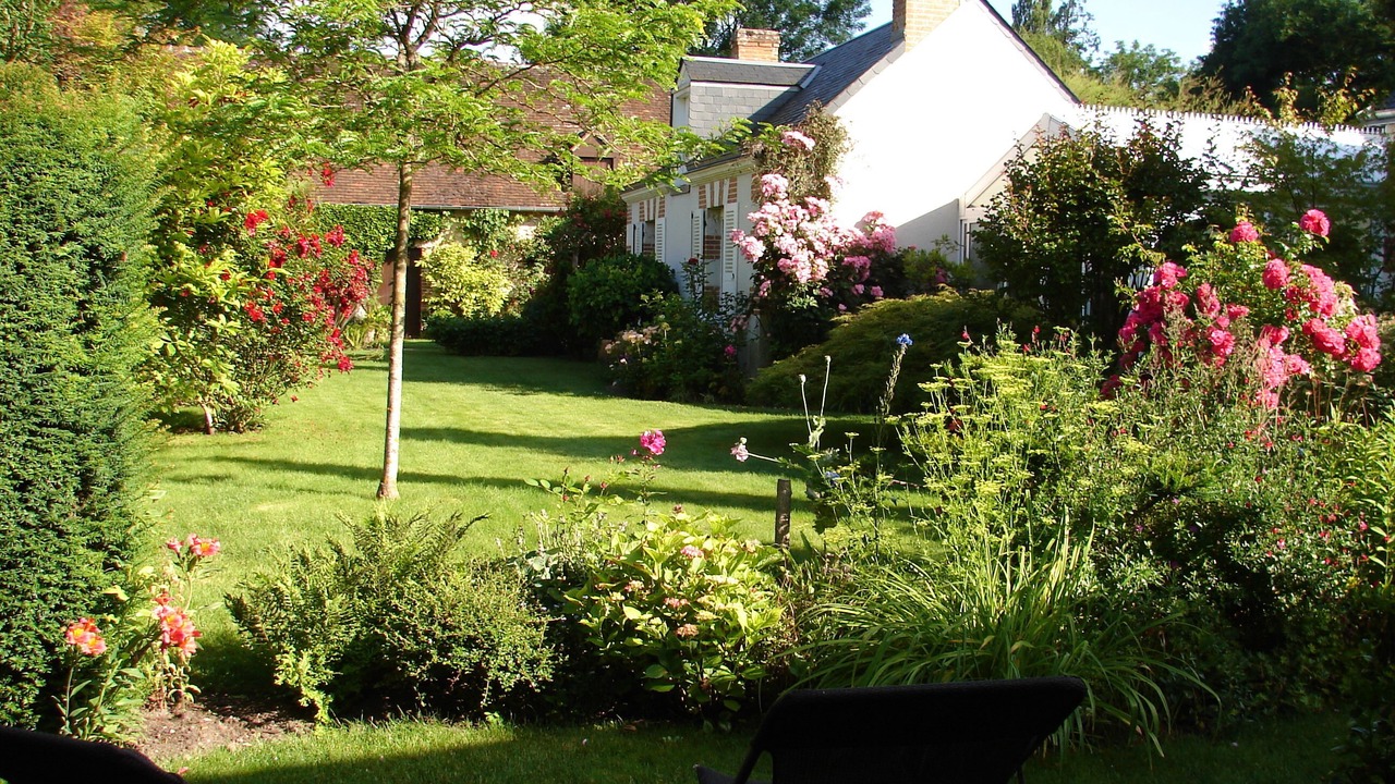 Photo of Outdoor in Cour-Cheverny