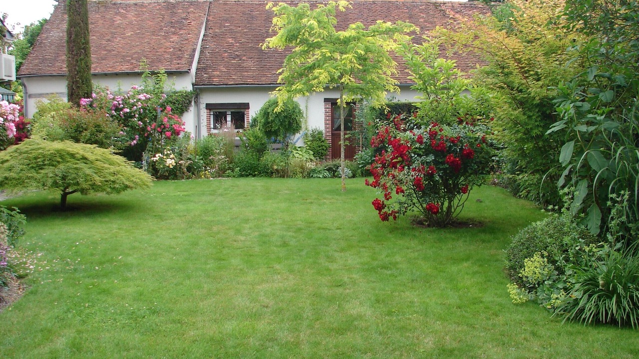 Photo of Outdoor in Cour-Cheverny