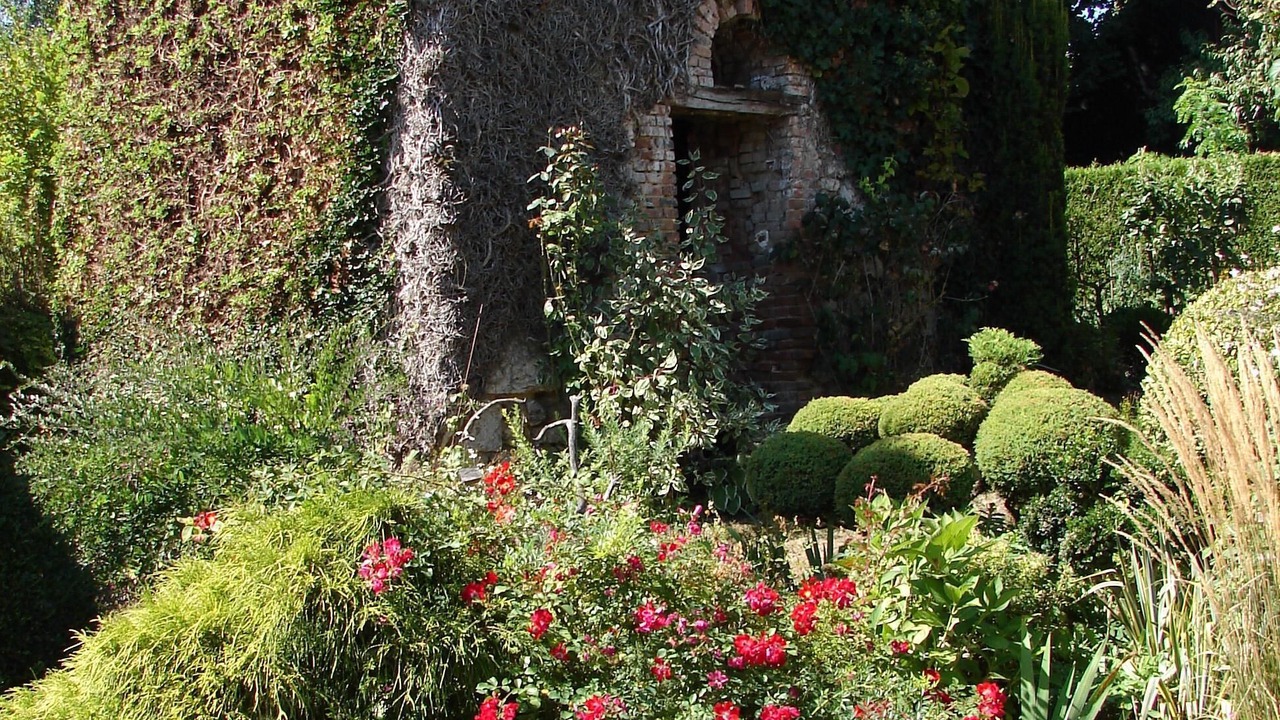 Photo of Outdoor in Cour-Cheverny