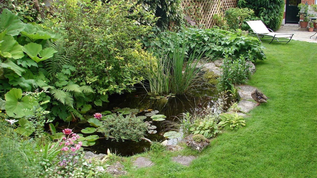 Photo of Outdoor in Cour-Cheverny